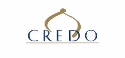 developer logo