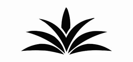 developer logo