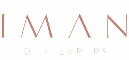 developer logo