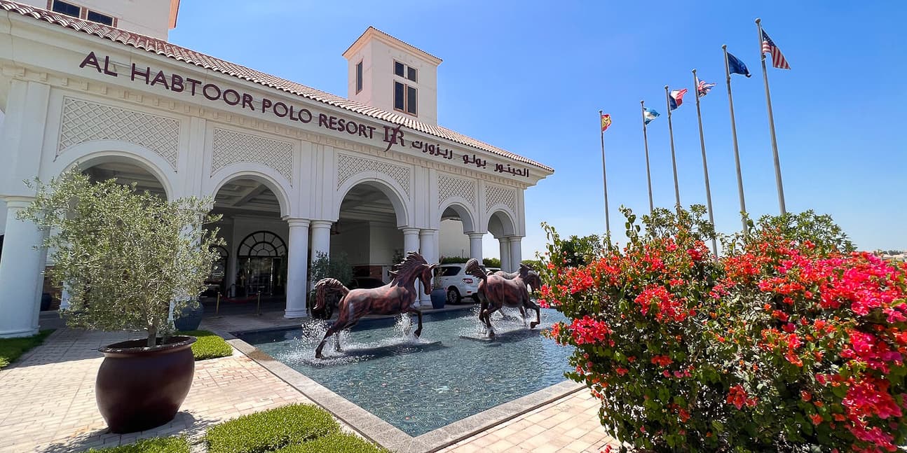 watermark - 2024-02-07T211251.366-4