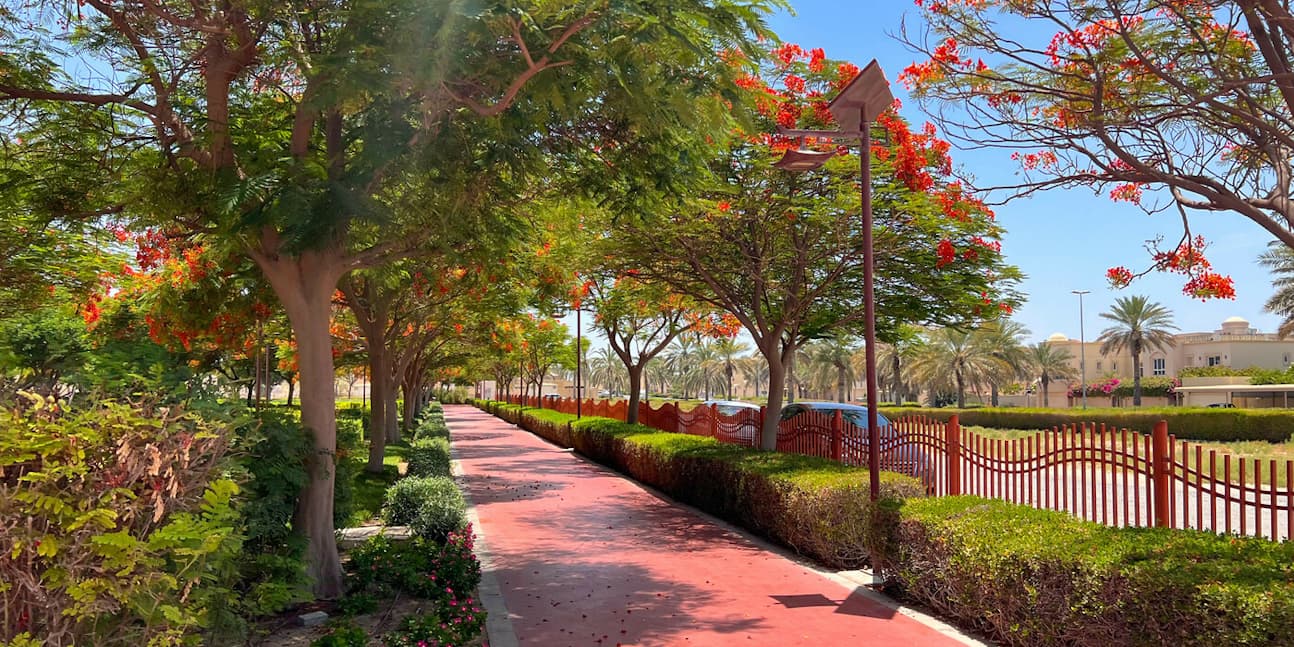 watermark - 2024-08-06T000530.366-6