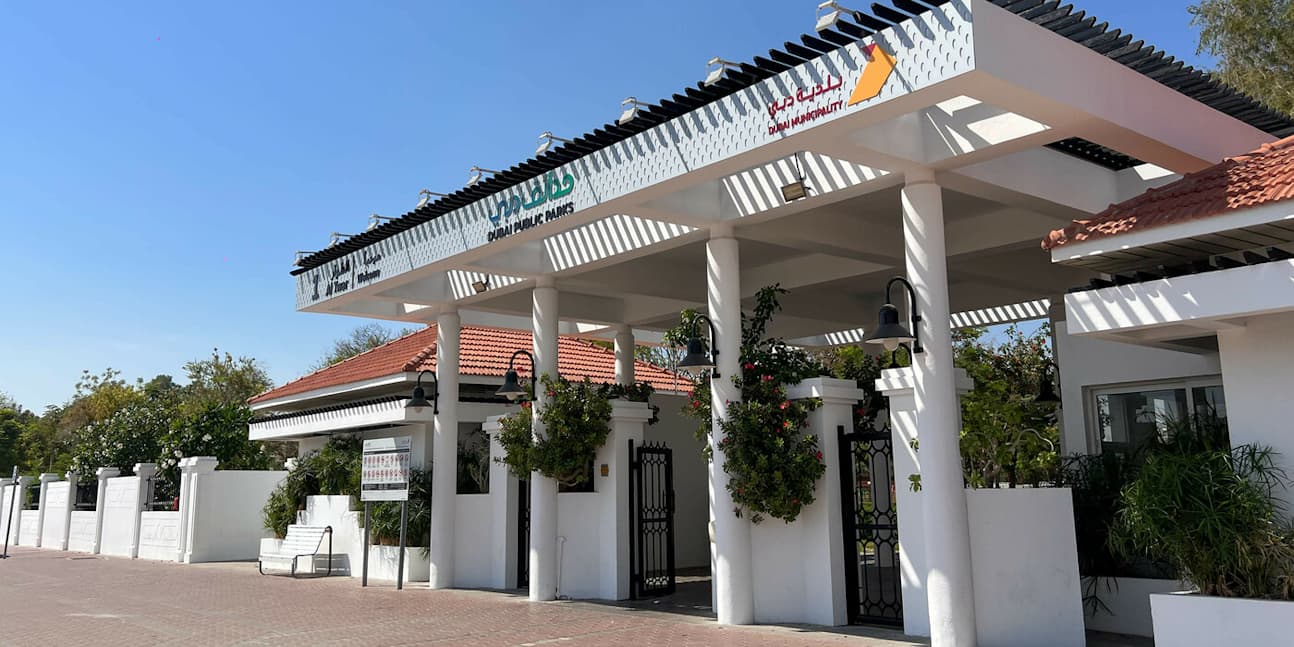 watermark - 2024-12-11T013752.338-1