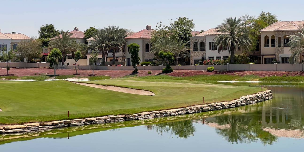 watermark - 2024-12-31T003334.843-1